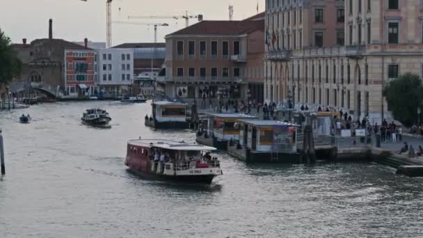 Kanał Grande w Wenecji, Statki wycieczkowe pływają w wodzie w centrum miasta — Wideo stockowe