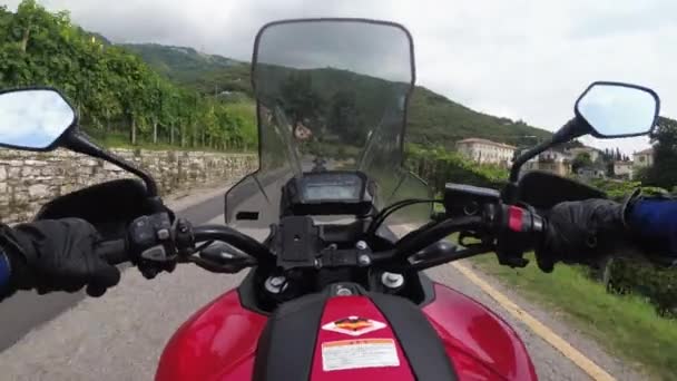 POV Biker Rider på en motorcykel mellan fält av vinodlingar i Italien, Countryside — Stockvideo