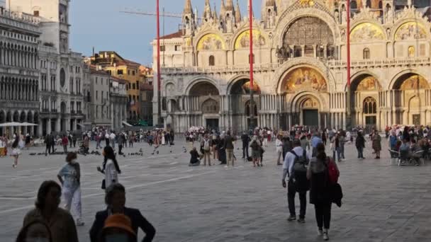 Dav lidí procházky na Piazza San Marco v Benátkách, Itálie, panoramatický pohled — Stock video