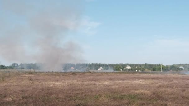 Fuoco Erba secca in campo vicino al villaggio in estate, Wildfire of Dry Stubble — Video Stock
