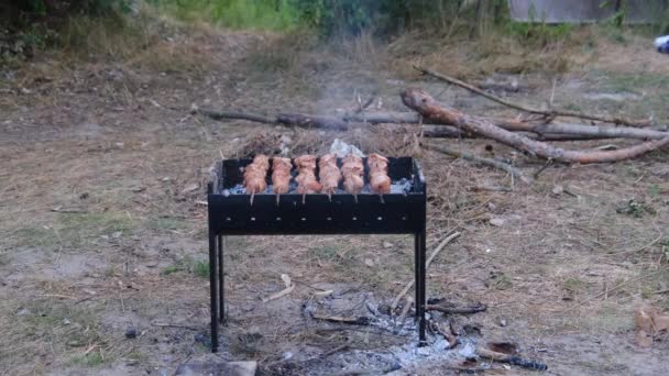 Kebabs on Skewers are Cooked on the Grill Outdoor, Shashlik on a Barbecue — Stock Video