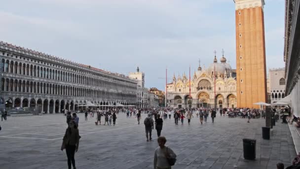 Piazza San Marco 'da yürüyen kalabalık Venedik, İtalya, Panoramik Manzara — Stok video