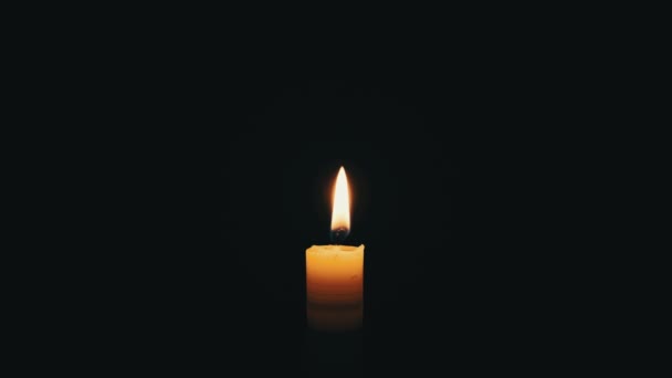 Candle Flame on Black Background, Close-up — стокове відео