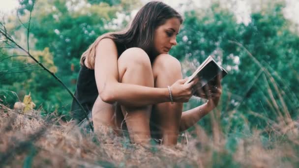 Junge Frau liest am Sommertag im Gras sitzend ein Buch — Stockvideo