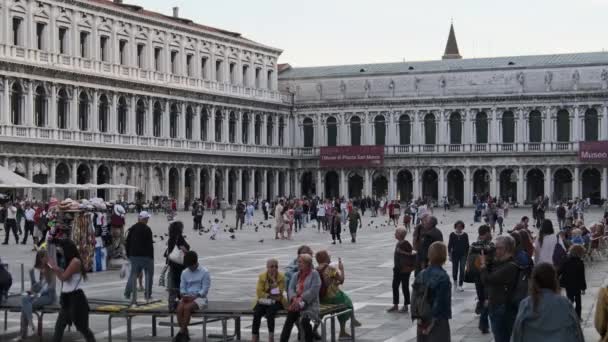 Piazza San Marco 'da yürüyen kalabalık Venedik, İtalya, Panoramik Manzara — Stok video