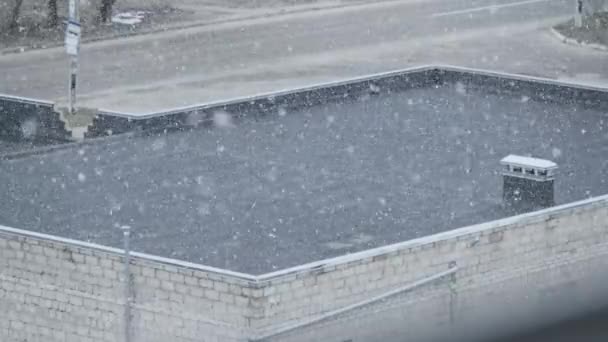 Silne opady śniegu na ulicy, burza śnieżna, Blizzard — Wideo stockowe