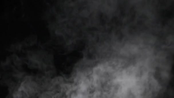 有阿尔法通道的烟雾 — 图库视频影像