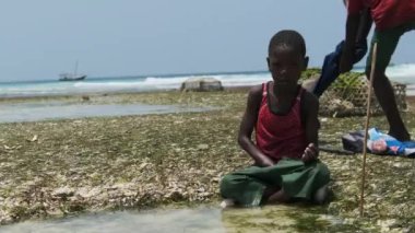 Okyanusun Sığ Suyunda Yerel Afrikalı Çocuklar Düşük Gelgitte Deniz Balıklarıyla Oynuyor