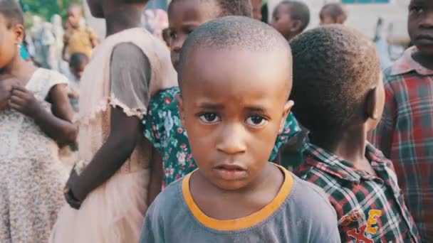 Місцеві африканські хлопці з цікавістю дивляться в камеру в Занзібар Віллидж, Африка — стокове відео