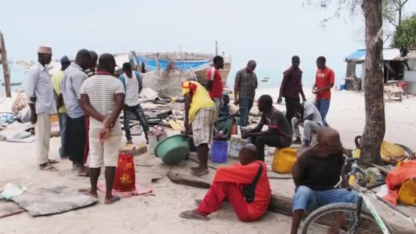 桑给巴尔市按海滩分列的当地非洲渔民在鱼类市场上出售新鲜渔获物 — 图库视频影像