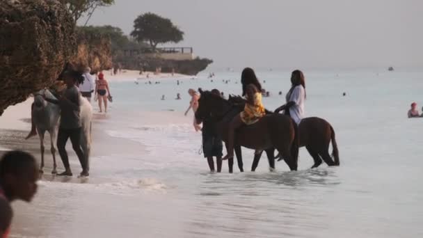 Okyanus kıyısında Tropikal bir plajda ata binen at, Zanzibar — Stok video