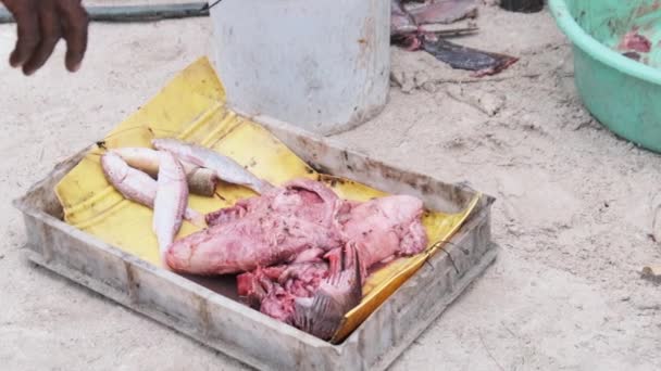 Lokalni afrykańscy rybacy wycięli złowione ryby na targu rybnym przy Ocean Beach, Zanzibar — Wideo stockowe