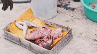 Yerel Afrikalı Balıkçılar Ocean Beach, Zanzibar 'daki Balık Pazarı' nda Balık Yakaladılar