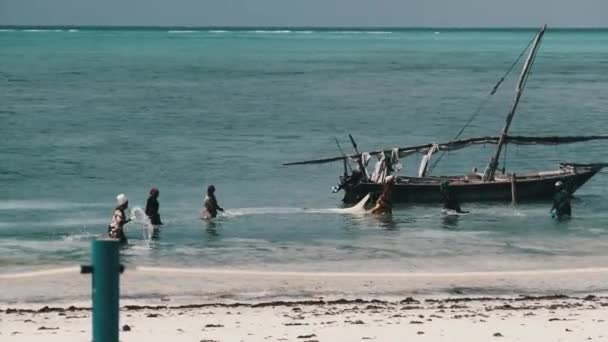 Skupina africké ženy chytání ryb, mořské plody pomocí rybářské sítě v oceánu, Zanzibar — Stock video