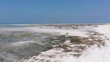 Bir sürü balıkçı teknesi Low Tide, Zanzibar, Hava Manzarası 'ndaki Kum Kıyısı açıklarında mahsur kaldı.