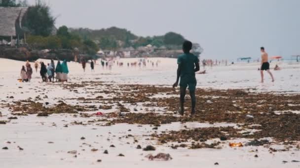 Un muchacho africano solitario camina por la costa de la playa en la marea baja, Zanzíbar — Vídeo de stock