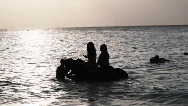 Passeios a cavalo em uma praia tropical ao longo da água do oceano ao pôr do sol, Zanzibar — Vídeo de Stock