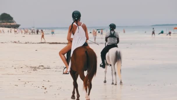 Верховая езда на тропическом пляже вдоль побережья океана, Занзибар — стоковое видео