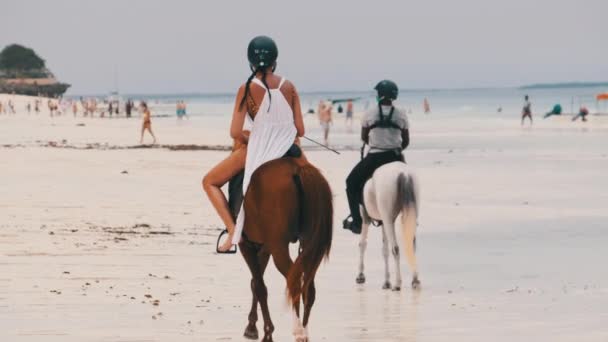 Ridning på en tropisk strand längs havskusten, Zanzibar — Stockvideo