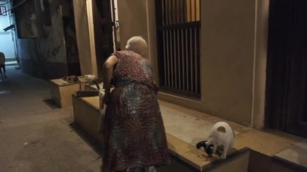 En gammal kvinna tar hand om herrelösa katter på gatorna i Stone Town, Afrika, natt — Stockvideo