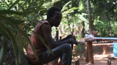 Afrika Ormanı 'nın Yürüyüş Patikası yakınlarında bir Afrikalı Rambutan satıyor.