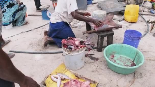 Lokala afrikanska fiskare säljer färsk fångst på fiskmarknaden vid Ocean Beach, Zanzibar — Stockvideo