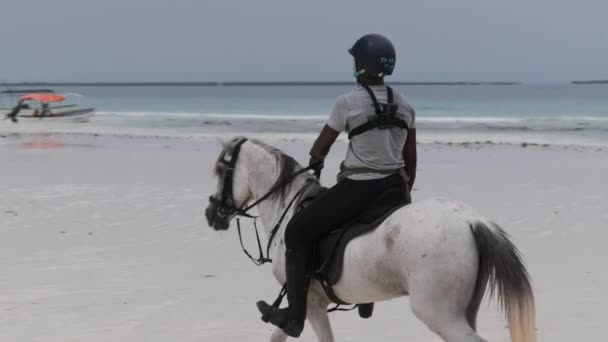 Okyanus kıyısında Tropikal bir plajda ata binen at, Zanzibar — Stok video