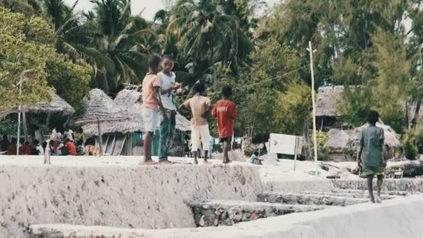 Leisure of African Children on Tropical Beach, Many Local Boys berjalan di pantai — Stok Video