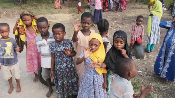 Feliz local africano niños divertido saludando mano y curioso mirando, pueblo de Zanzíbar — Vídeo de stock