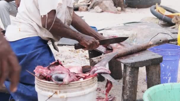 Lokale Afrikaanse vissers gesneden gevangen vis op vismarkt door Ocean Beach, Zanzibar — Stockvideo