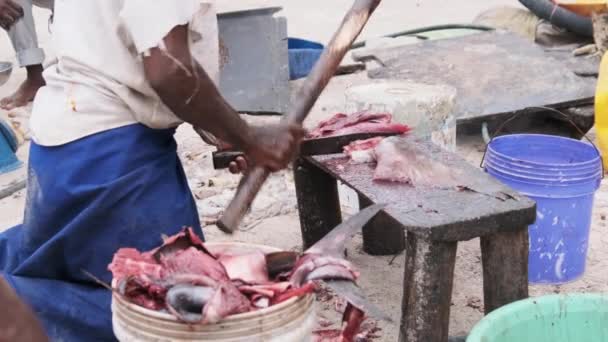 Pescadores africanos locais cortaram peixes capturados no mercado de peixes por Ocean Beach, Zanzibar — Vídeo de Stock