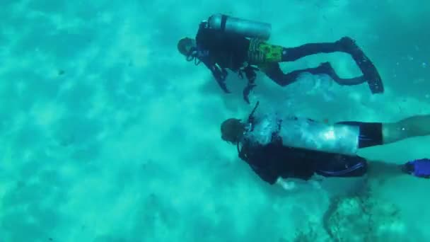 Potápění na dně korálového útesu, pohled na korálové ryby, potápění turistů, Zanzibar — Stock video