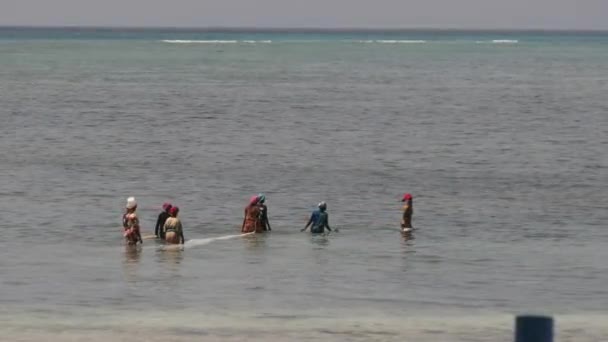Group African Women Catching Fish, Seafood using Fishing Net in Ocean, Zanzibar — Stock Video