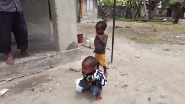 Portret van lokale Afrikaanse kinderen in een arm dorp bij Slum, Zanzibar, Afrika — Stockvideo