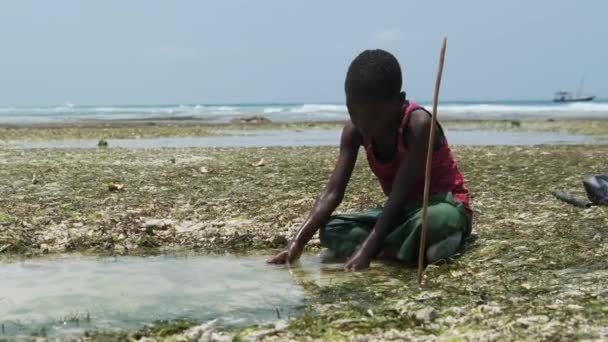 Niño africano local en aguas poco profundas del océano Juega con peces marinos en marea baja — Vídeo de stock