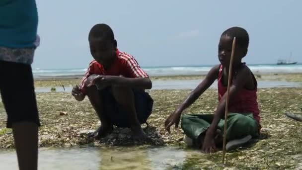 Miejscowi afrykańscy chłopcy w płytkiej wodzie oceanu Baw się z rybami morskimi podczas odpływu — Wideo stockowe