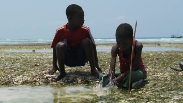 Miejscowi afrykańscy chłopcy w płytkiej wodzie oceanu Baw się z rybami morskimi podczas odpływu — Wideo stockowe