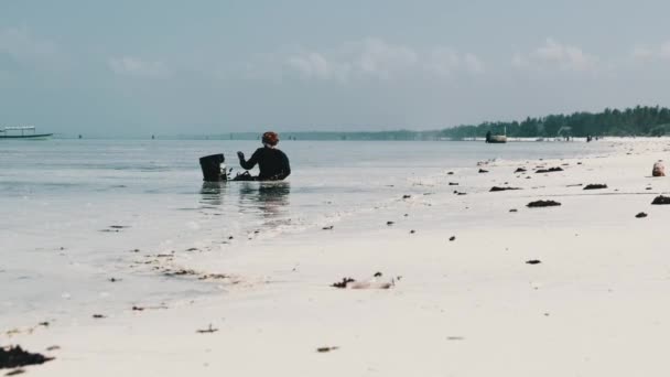 アフリカの女性は海の水に座ってバケツにシーフードを収集します。ザンジバル — ストック動画