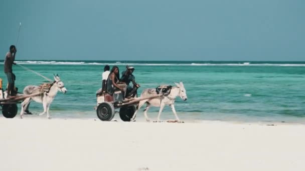 Åsnekartor med lokala afrikaner rida längs Sandy Beach by Ocean, Zanzibar — Stockvideo