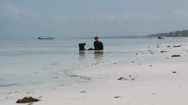 Afrikalı Kadın Okyanusta Suda Oturan Kova içinde Deniz Ürünleri Topluyor. Zanzibar — Stok video