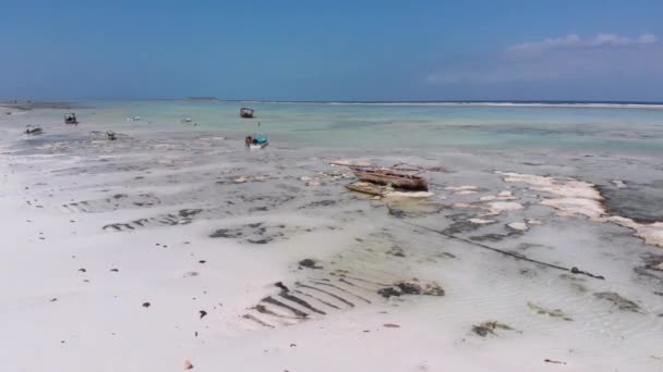 Ocean na odpływie, Widok z powietrza, Zanzibar, Łodzie tkwiące w piasku na płyciznach — Wideo stockowe