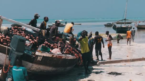 Багато місцевих африканських рибалок біля Вуденського рибальського човна Dhow на піщаному березі — стокове відео