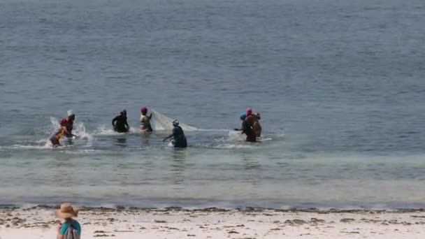 Gruppo di donne africane che catturano pesci, frutti di mare utilizzando la rete da pesca nell'oceano, Zanzibar — Video Stock