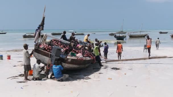 Lotes de pescadores africanos locais perto de madeira barco de pesca Dhow em uma costa arenosa — Vídeo de Stock