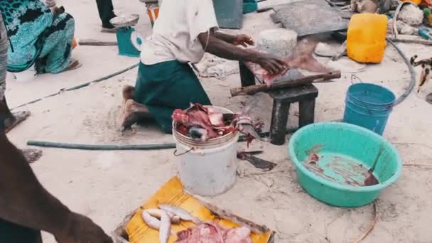 Local African Fishermen Sell Fresh Catch on Fish Market by Ocean Beach, Zanzibar — Stock Video