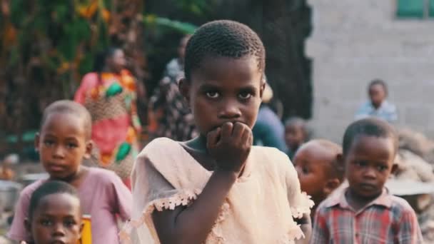 Місцева африканська дівчинка з цікавістю дивиться в камеру в Занзібарському селі (Африка). — стокове відео
