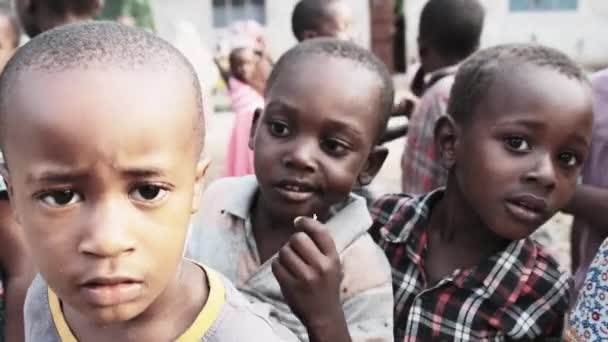 Местные африканские мальчики с любопытством смотрят в камеру в деревне Занзибар, Африка — стоковое видео
