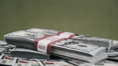 Dolarlar Yığınla Para Yatıyor ve Yeşil Arkaplanda Dönüyor, Para