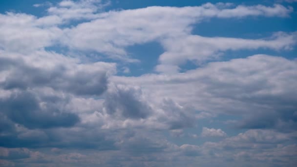 Cumuluswolken bewegen sich am blauen Himmel, Wolkenbild-Zeitraffer — Stockvideo