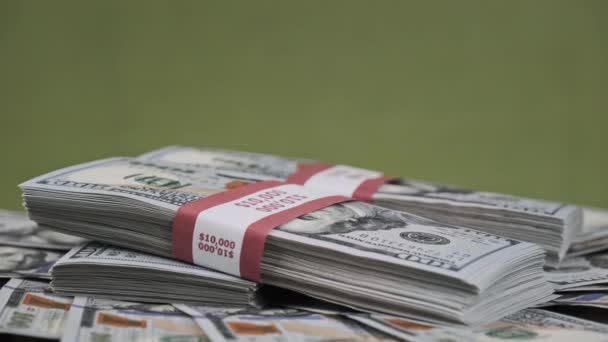 Dollars Bundles Lying on a Pile of Money and Rotate on Green Background, Money — 비디오